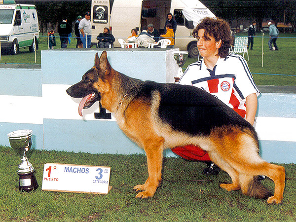Perros Históricos